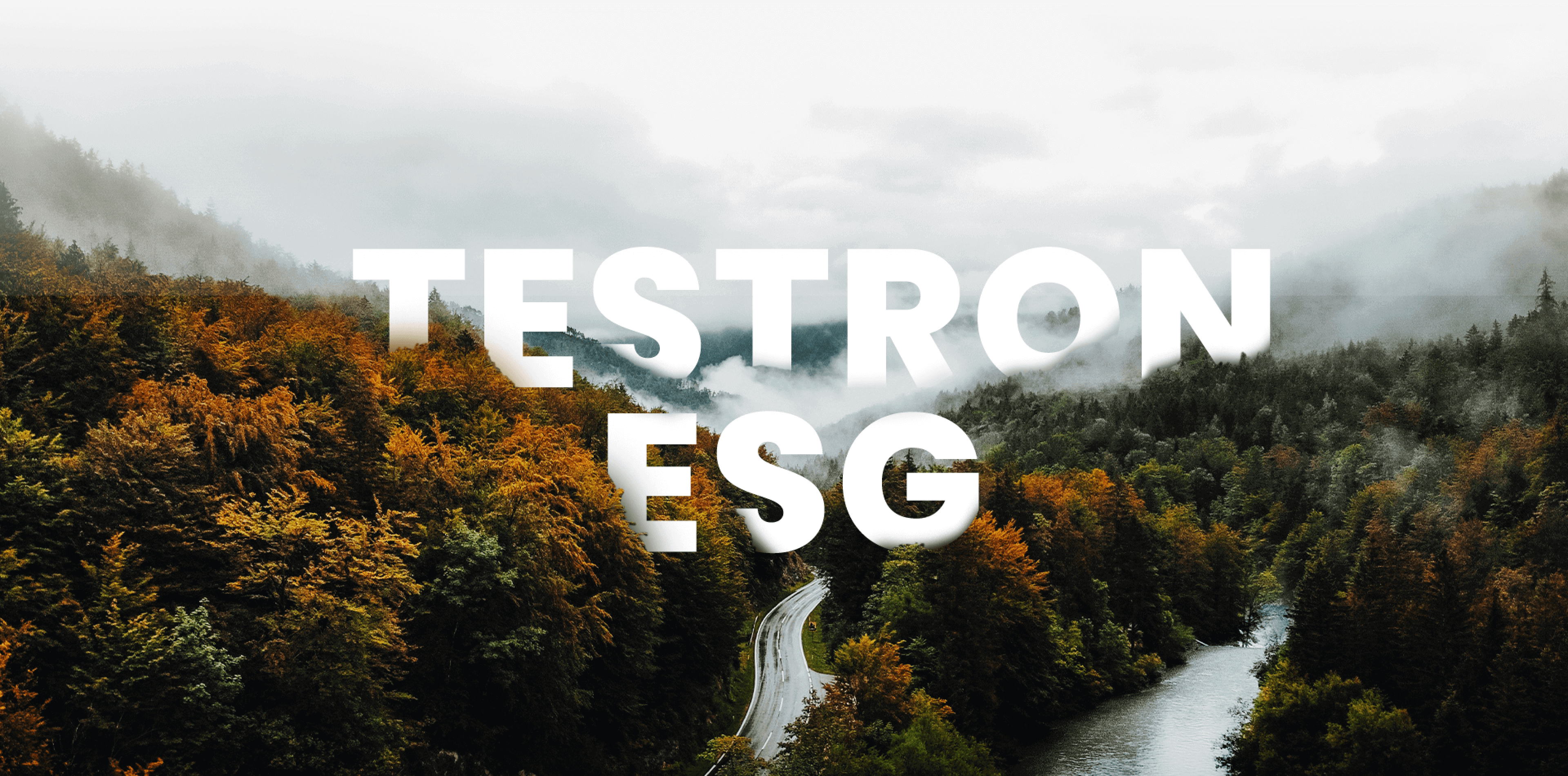 Testron Technology